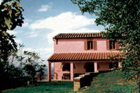 The house