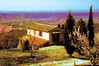 Verdealloggio casa